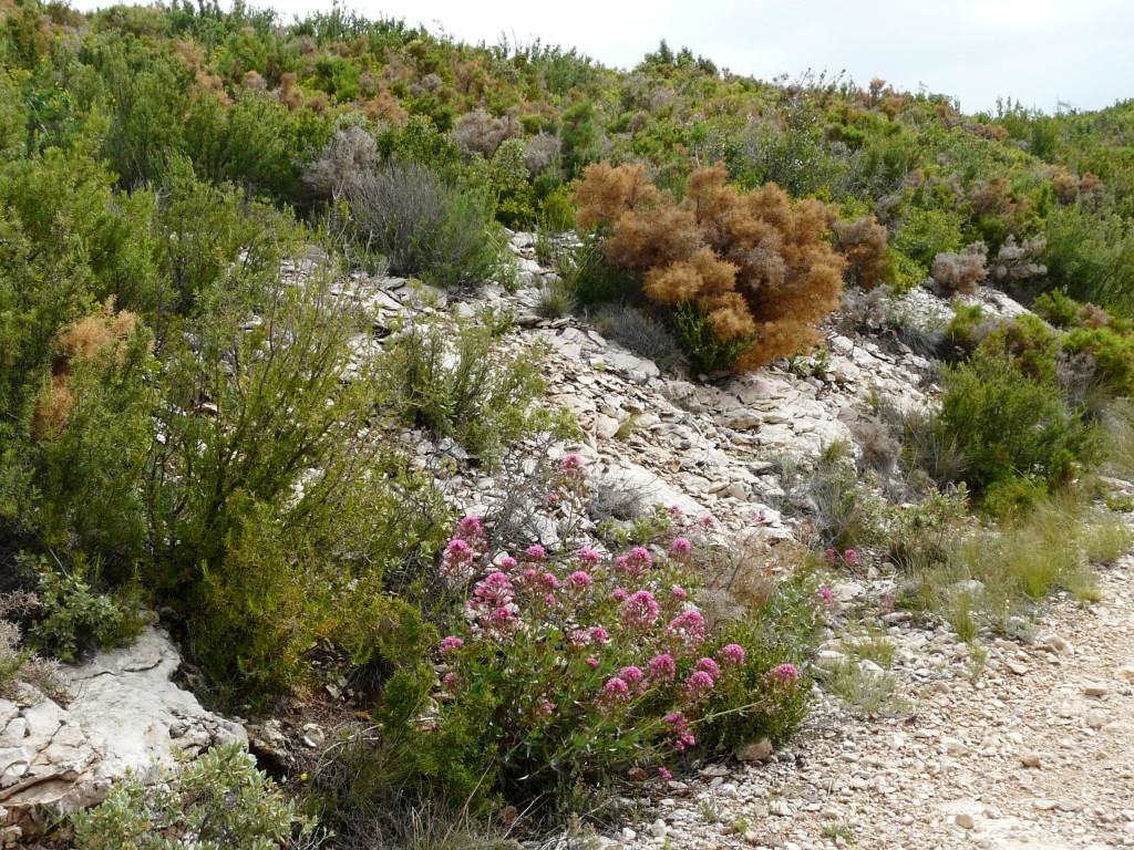 Sainte Beaume, 26-05-08, 10-14.jpg